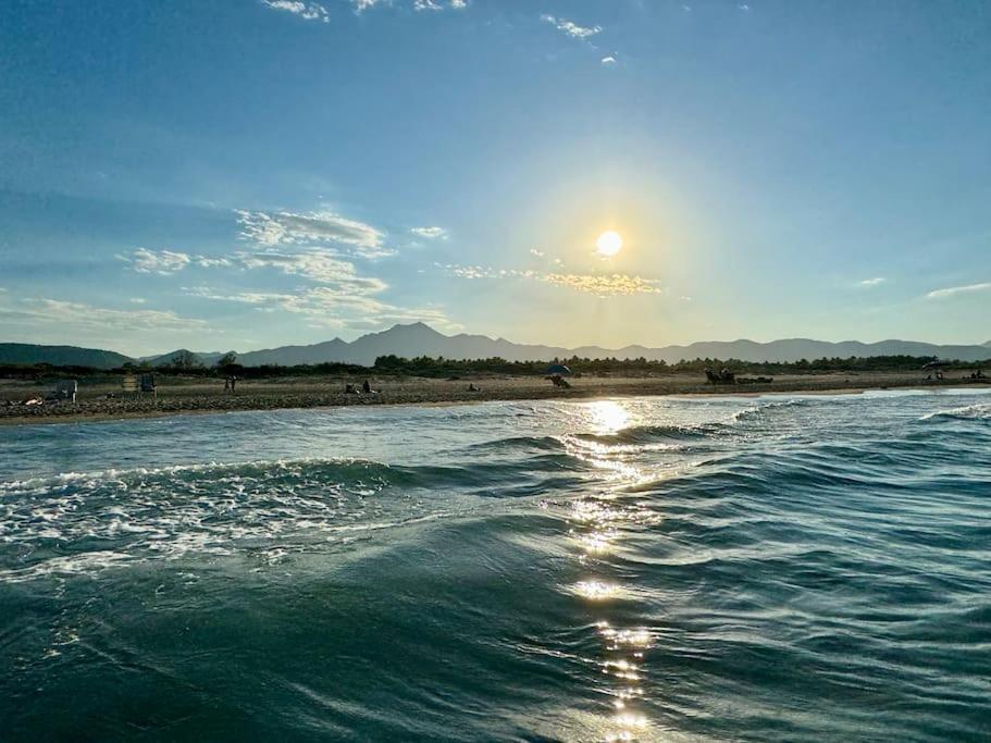 Апартаменти Relax En Playa De L'Ahuir Gandia Playa de Gandia Екстер'єр фото